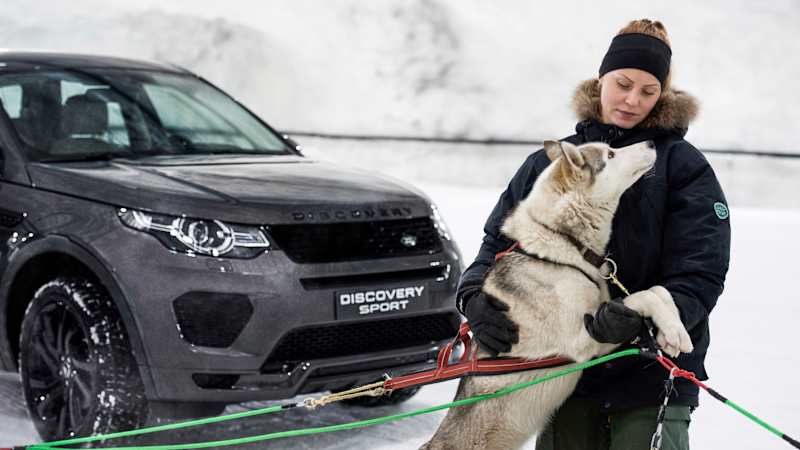 Which is faster: a Land Rover Discovery Sport or sled dogs?